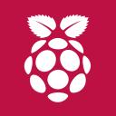 Raspberry Pie icon