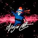 NinjaCat