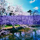 Surreal Resolution