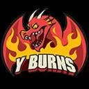 YBurn Nest