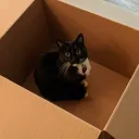 The Chill Spot