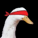 Quack Pack