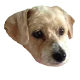 It's Emma Elise Discord