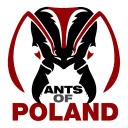 Ants of Poland