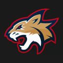 UArizona Wildcat Gaming Club icon