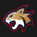 Discovery icon for UArizona Wildcat Gaming Club Discord server