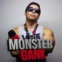 Canal do RonN
