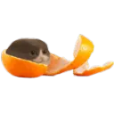 all dead no raid