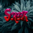 skrrt. ScreeK's server brrah.