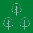 The Citybound Forest