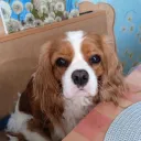 Саяна