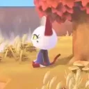 Chiblee's Discord