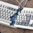 Typing Game Speedcommunity