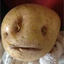 The Potato Patch