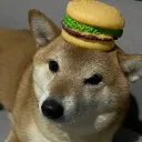 Dog Zone Premium