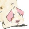 Final Fantasy TCG (FFTCG) icon