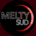 Discovery icon for Melty Sud Discord server