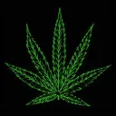 Cordeiro´s House