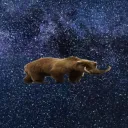 Space Hog Headquarters