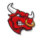 Stock Bulls