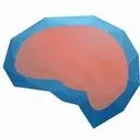 Mind Grown Software