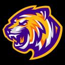 Esports LSU icon
