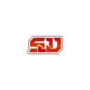 SinerJJi TV