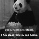 Panda sein Discord.