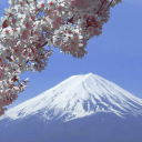 あきはばら - discord server icon