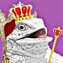The Realm Of Lizards