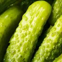 Tickle Your Pickle