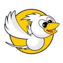 FLYBIRD Int