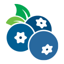 BLUEBERRY.gg icon