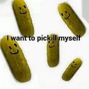 The Pickle Jaar