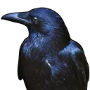 Requiem Discord