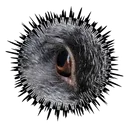 The True SilverFox