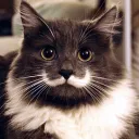 /r/nihilism Discord Server Icon