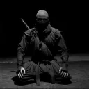 /interpol