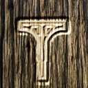 🌲杉の木の下🌲