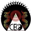 CEO Friendly Sessions