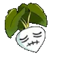 The Real Hawaii Netplay