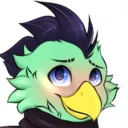 Club Avian