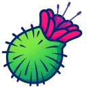 Arctium Community