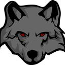 TheEndOfTheNetwork Discord Server Icon