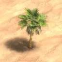 Age of Empires Paradise