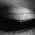 238984705582694401