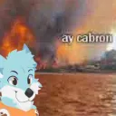 la provisión de memes de alta calidad de blue