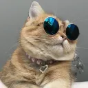 The Cat Bus