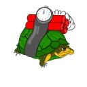 Time for Turtles
