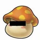 メイプラー